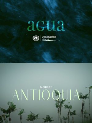 Cartel Agua. Antioquía